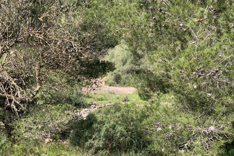 Landejendom i Tortosa, Tarragona, Tortosa - € 139.000 | Ref: Tor9079fra - foto 38